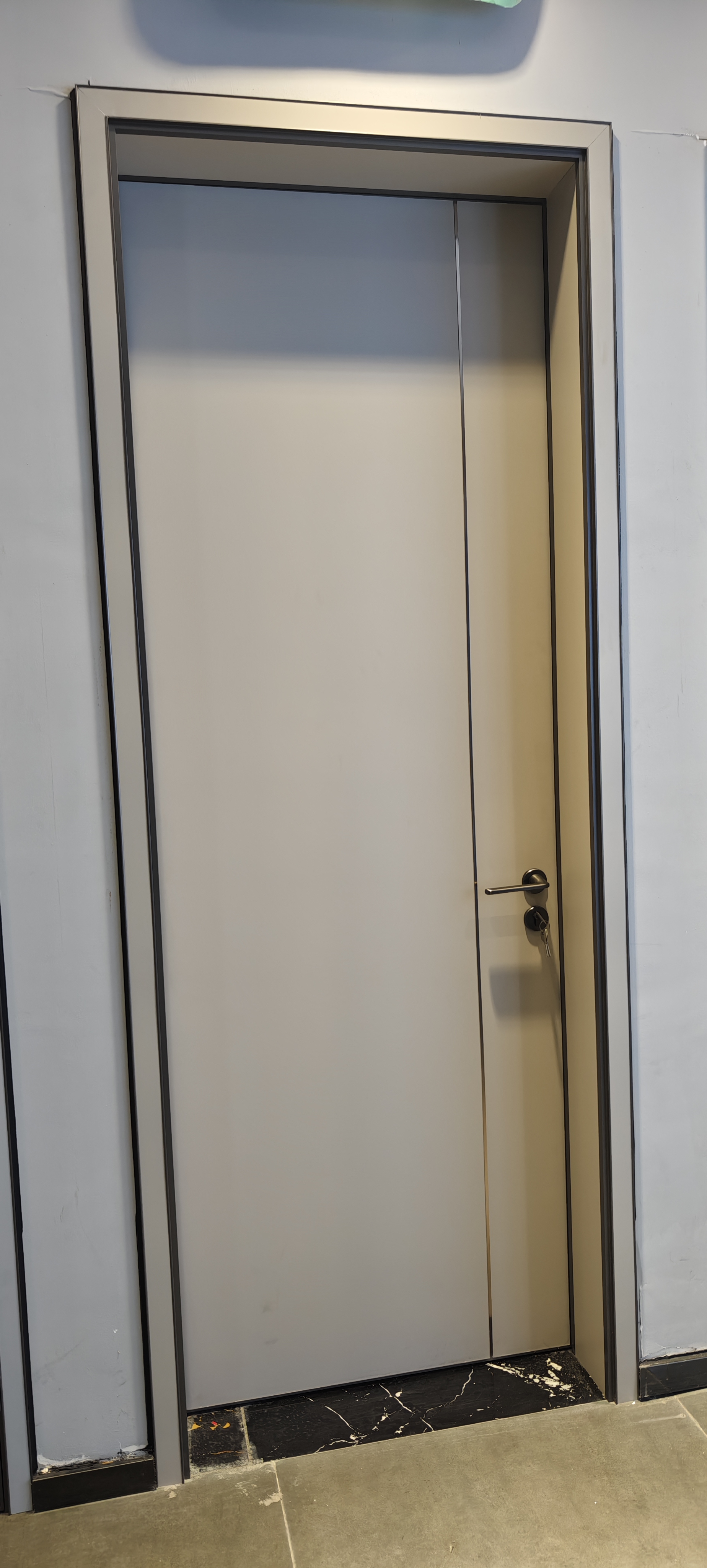 Aluminum Interior Wood-Grain Doors